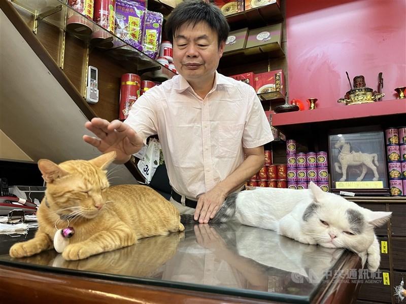 Ginseng Hsiao, owner of He-Shing Chinese Herbs and Groceries, says his feline companions Cola (left) and Money are like his “sons” and have even helped transform his business. CNA photo Sept. 4, 2025