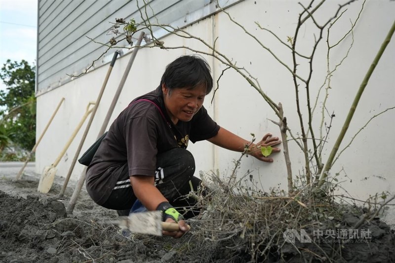 Farm owner Su Hsiu-lien shovels mud from her rose garden in Guangfu Township, Hualien County, on Monday, after the flood devastated her crops. CNA photo Oct. 6, 2025