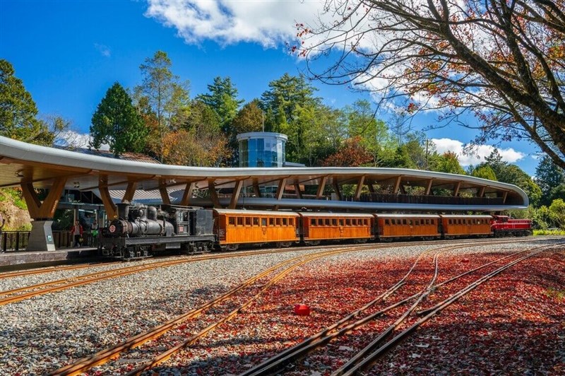An Alishan Forest Railway train makes a stop at a scenic station, surrounded by autumn foliage. Photo couresy of Huang Yuan-ming