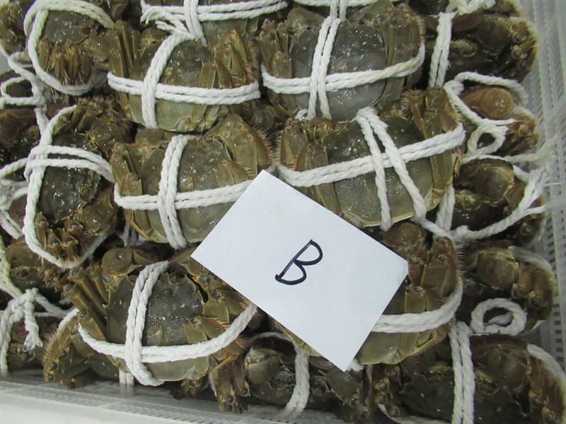 Chinese mitten crab that are barred from entering the Taiwan market. Photo courtesy of Taiwan Food and Drug Administration