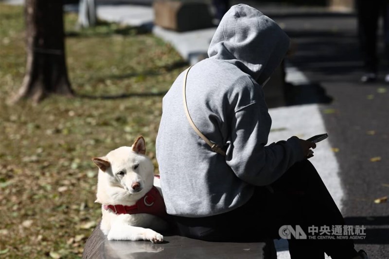 For illustrative purposes only. CNA file photo