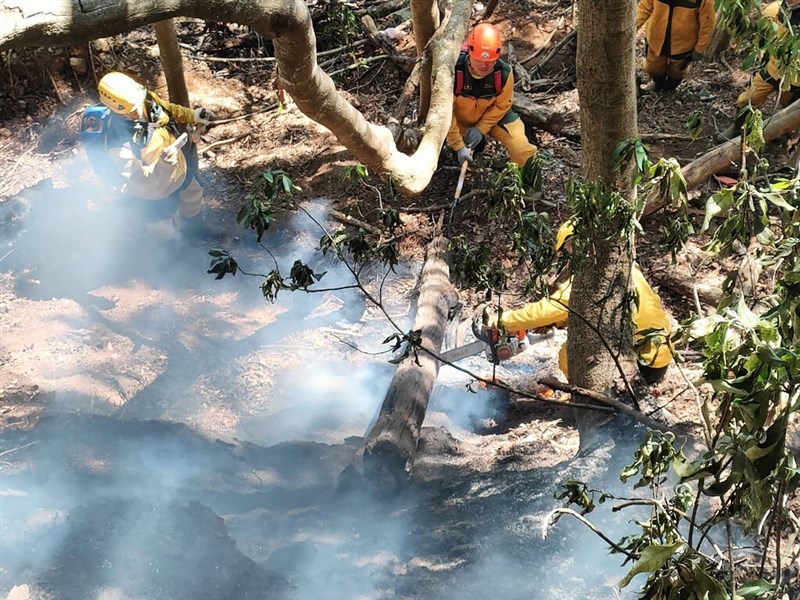 Photo courtesy of the Forestry and Nature Conservation Agency's Nantou branch
