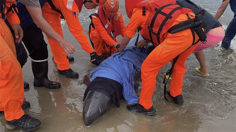 Photo courtesy of the Coast Guard Administration's Southern Branch Feb. 24, 2026