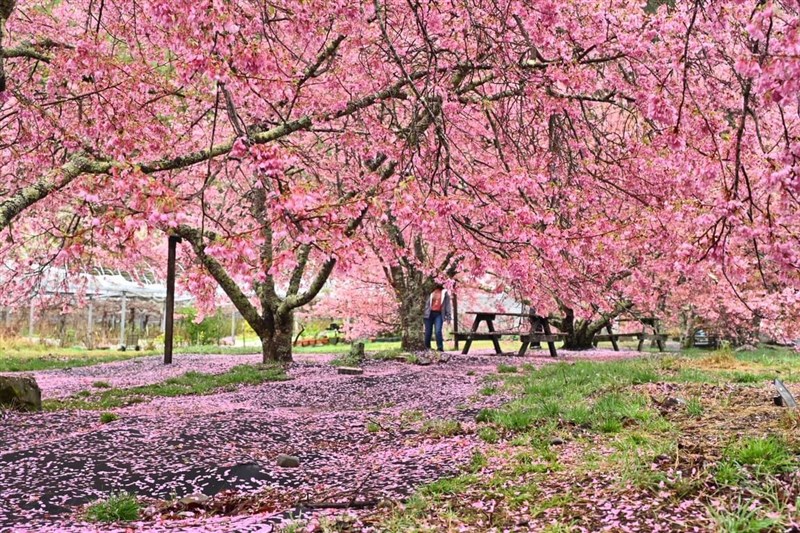 Photo courtesy of Wuling Farm