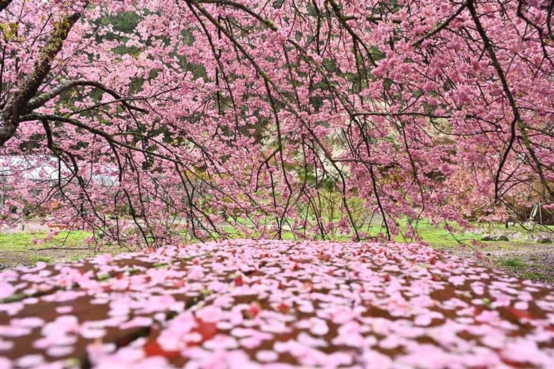 Photo courtesy of Wuling Farm