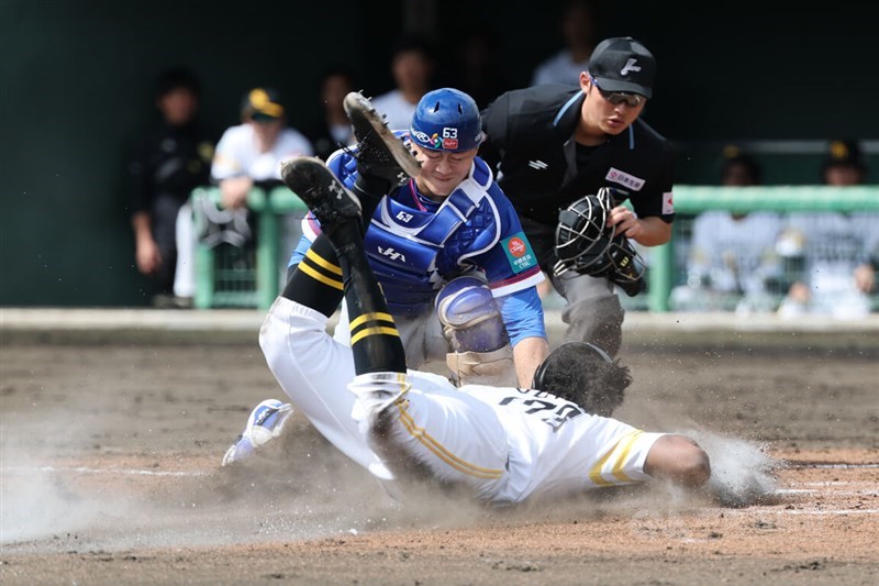 Taiwanese catcher Chiang Shao-hung (center) defends home plate during a warm-up game against the Fukuoka SoftBank Hawks’ farm team in Miyazaki, Japan, on Tuesday ahead of the 2026 WBC opener. CNA photo March 3, 2026