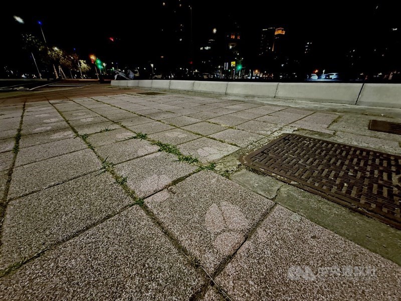A sidewalk in Kaohsiung with Chopper's footprints. CNA photo March 13, 2026