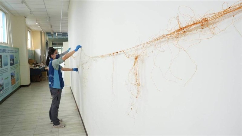 Threads of fishing net recovered from a dead leatherback sea turtle are on display. Photo courtesy of Taiwan Cetacean Society