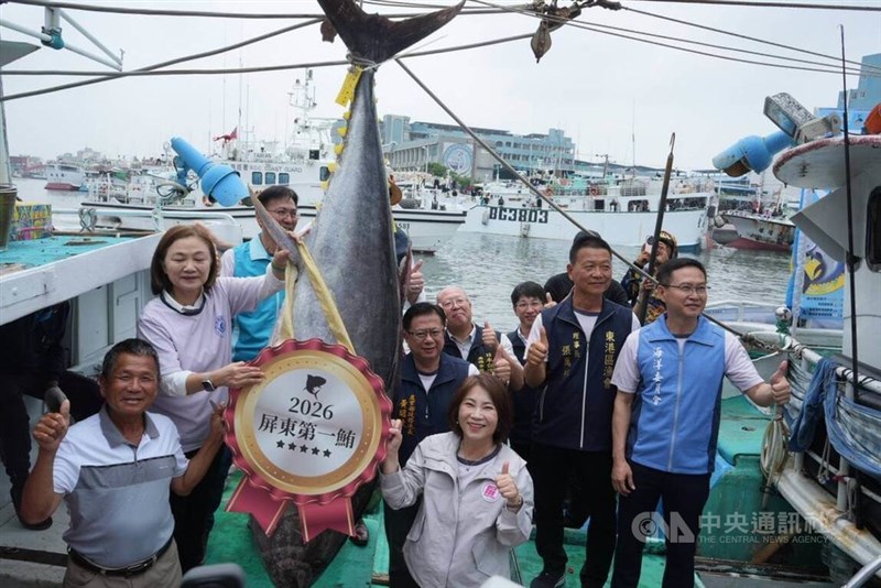 The first bluefin tuna of the season in Pingtung County, which was sold at auction at the fish market in Donggang Fishing Harbor on Wednesday. CNA photo April 8, 2026