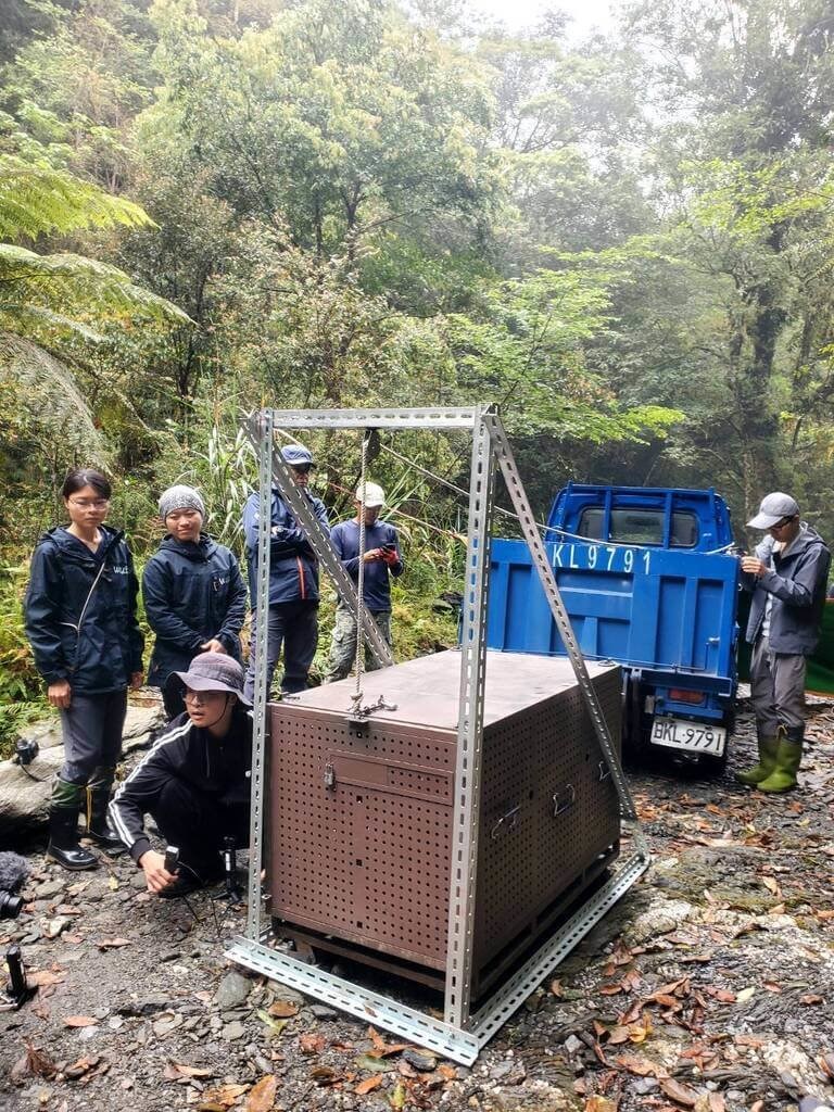 The release of rehabilitated Formosan black bears in Zhuoxi Township, Hualien County on Wednesday. Photo courtesy of the Forestry and Nature Conservation Agency