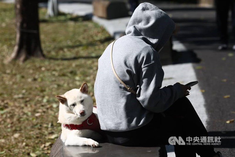 A pet owner rests at a park with a dog. CNA file photo