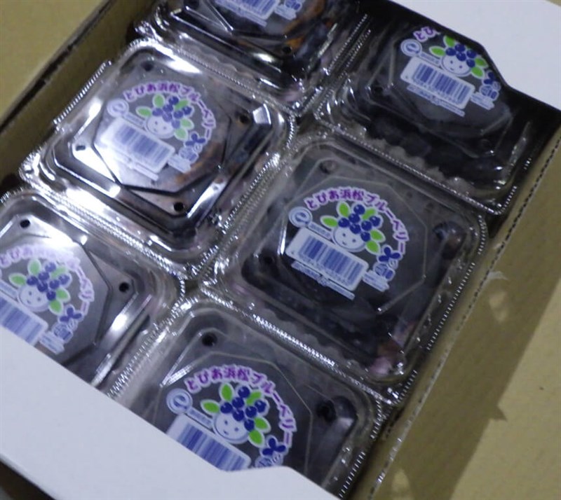 Intercepted Japanese blueberries. Image courtesy of the the Taiwan Food and Drug Administration