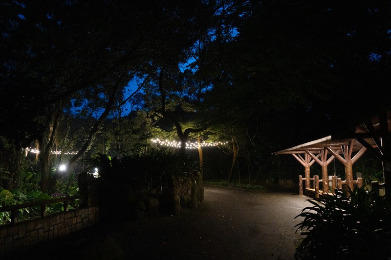 The Taipei Zoo extends its opening hours during a Saturday between July and August in 2025. File photo courtesy of the Taipei Zoo