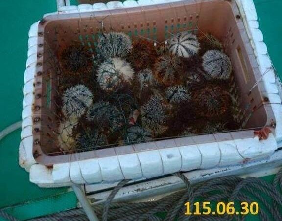 Photo courtesy of the Penghu District Prosecutors Office
