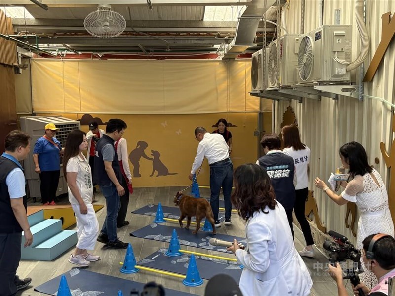 New Taipei Mayor Hou Yu-ih (back center) leads a dog through a rehabilitation exercise at Taiwan's first long-term animal care facility in the city's Zhonghe District on Friday. CNA photo July 3, 2026