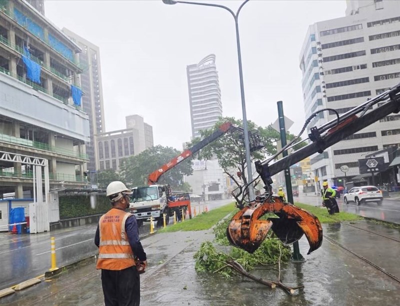 Kaohsiung City removes a fallen tree that struck a Kaohsiung Light Rail train on Sunday. Photo courtesy of the Kaohsiung City Police Department Rapid Transit Police Brigade