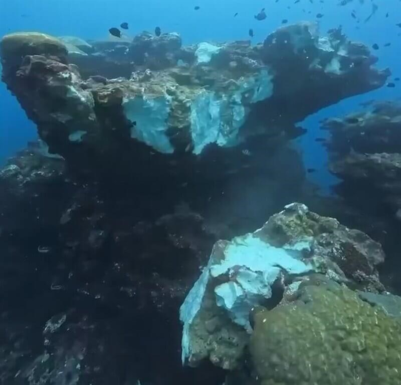 The fractured Heimao Reef at the Chaikou diving area off Green Island. Photo courtesy of Chen I-hsi
