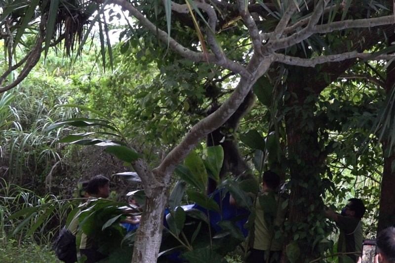 Photo courtesy of Taipei Zoo