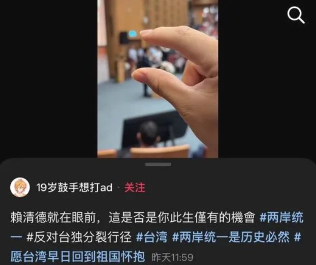 Screenshot from original Tiktok post
