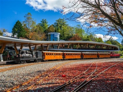Reservations for Alishan maple foliage viewing tours to start Nov. 18