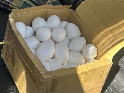 Pesticide contamination in eggs tied to cramped hen cages: Expert