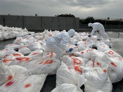 Over 27,000 hens culled in Changhua amid H5N1 detection