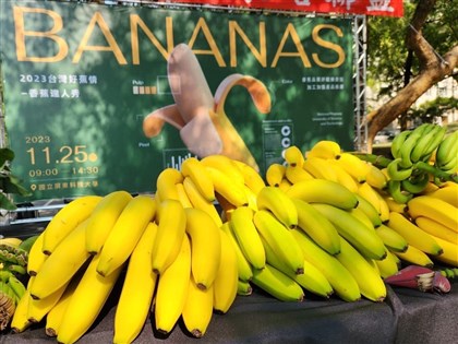 Banana threat: Taiwan decodes secret to tackling banana killer TR4
