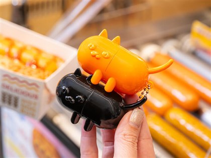 Convenience stores tap 'cat economy' as Taiwan sees more feline pets