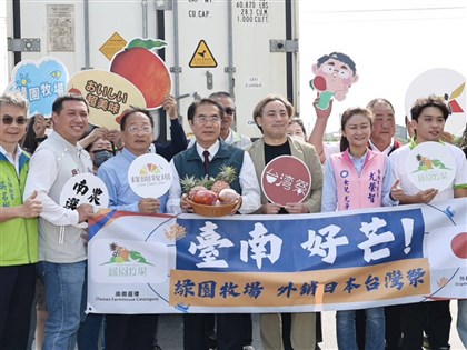 Tainan eyes long-term orders after shipping frozen mangoes to Japan
