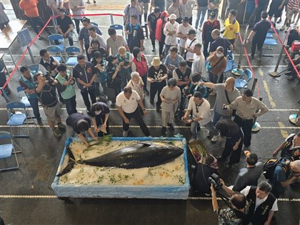 First Su'ao bluefin tuna of season sold for nearly NT$1.99 million