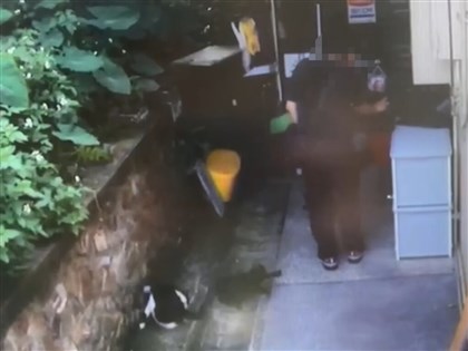 Man who pepper sprayed 5 cats in Houtong arrested