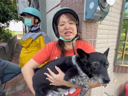 Lost dog found in Yunlin after owner offers NT$500,000 reward