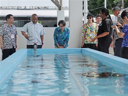 Hsiao inspects Taiwan-aided fisheries, tourism projects in Palau