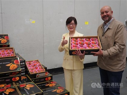 Taiwan mangoes enter French market, targeting premium channels