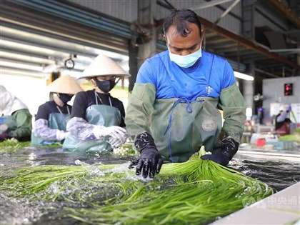 Thai worker finds 2nd home on water snowflake farm in southern Taiwan
