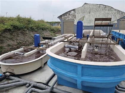 Taiwan develops energy-saving technology for methane-cutting algae