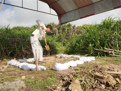 Japan group begins search for WWII remains in Pingtung