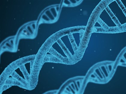 Taiwan study shows ongoing natural selection shaping disease susceptibility