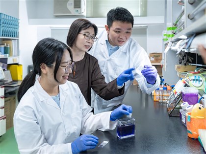 NTHU study finds plant compound may help treat brain injuries