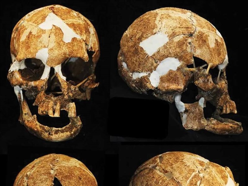 Skeletal remains dating back 6,000 years unearthed in Taitung cave - Vimarsana News