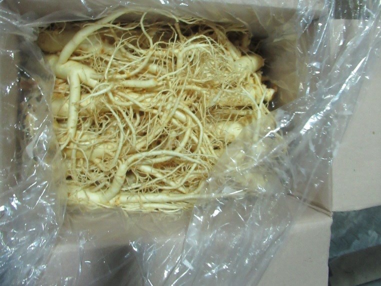 New study finds fluazinam exposure linked to brain development changes in rats