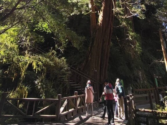 Lalashan to become national forest recreation area - Vimarsana News