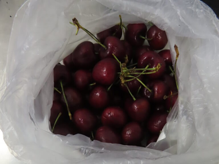 51.7 metric tons of substandard Chilean cherries blocked at border - Vimarsana News