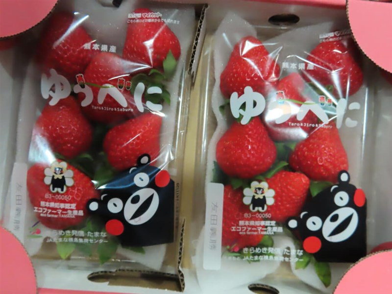 5 Japanese strawberry suppliers receive month-long import ban
