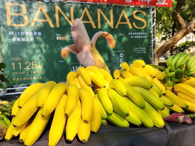 Banana threat: Taiwan decodes secret to tackling banana killer TR4
