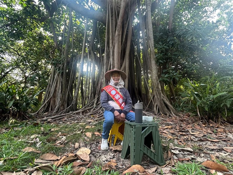 'Forest Grandma' seeks council seat in fight against Kaohsiung deforestation