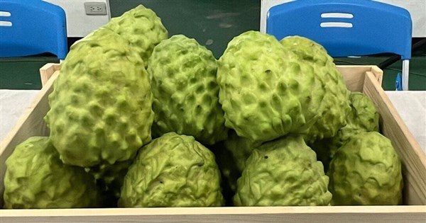 China lifts Taiwanese custard apple import suspension - Vimarsana News