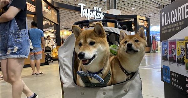 Wellness services for older pets draw attention at Taipei pet expo - Vimarsana News