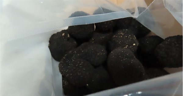 Fresh truffles from Italy seized for excessive levels of heavy metal - Vimarsana News