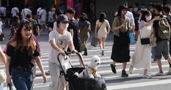 Taipei offers up to NT,000 in insurance subsidies for adopted pets